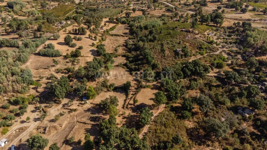 Terreno para Venda em Pero Viseu Foto 13