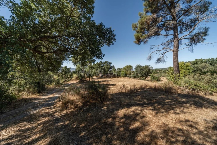 Terreno para Venda em Pero Viseu Foto 10