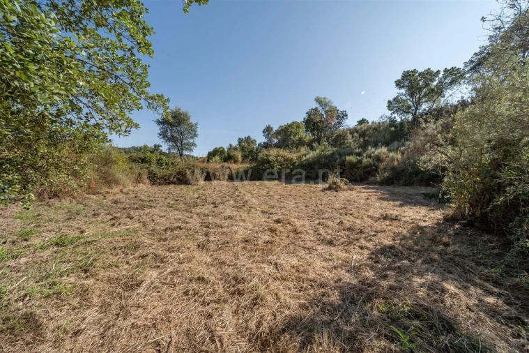 Terreno para Venda em Pero Viseu Foto 12