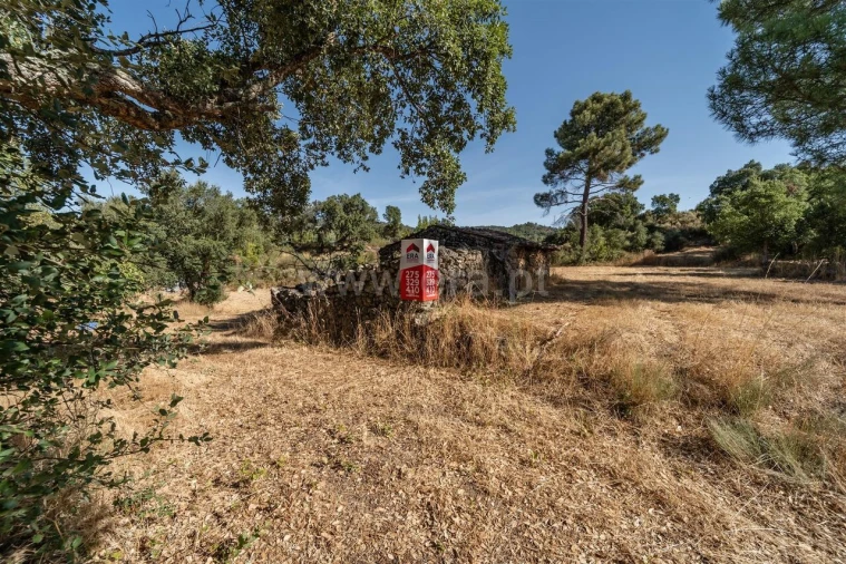 Terreno para Venda em Pero Viseu Foto 4