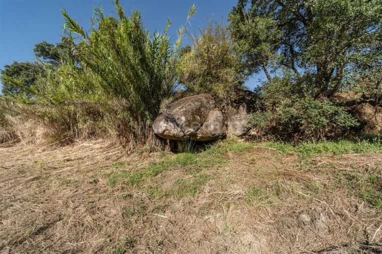 Terreno para Venda em Pero Viseu Foto 11
