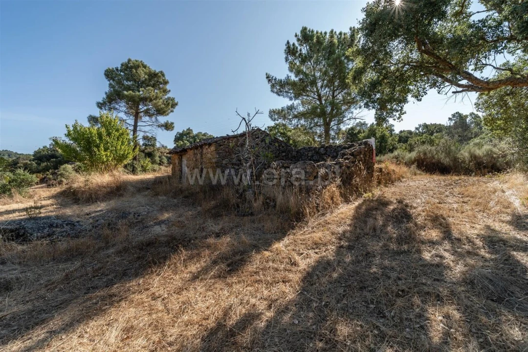 Terreno para Venda em Pero Viseu Foto 1