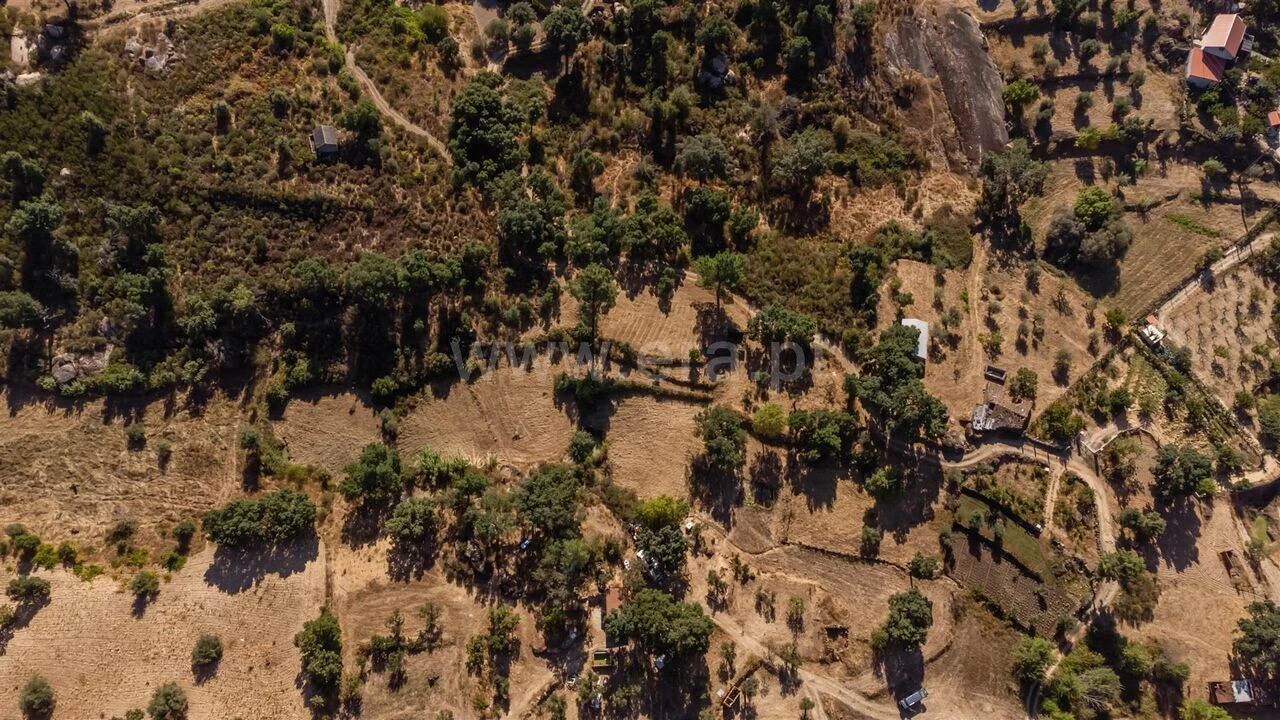 Terreno para Venda em Pero Viseu Foto 17