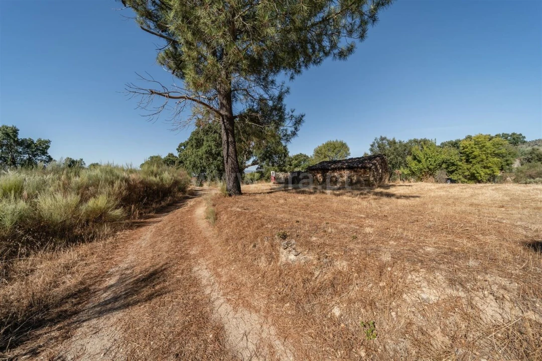 Terreno para Venda em Pero Viseu Foto 6