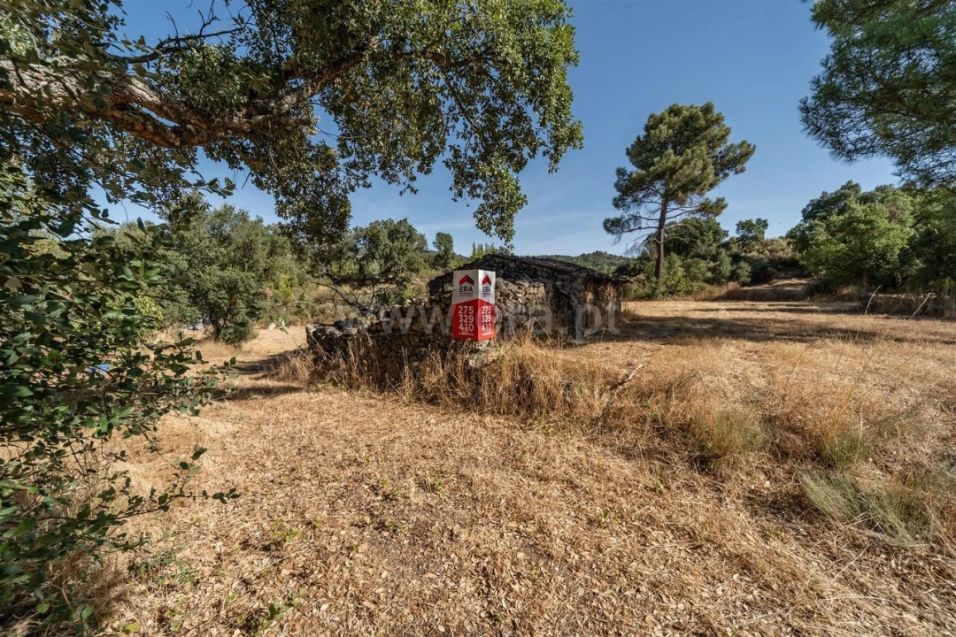 Terreno para Venda em Pero Viseu Foto 4