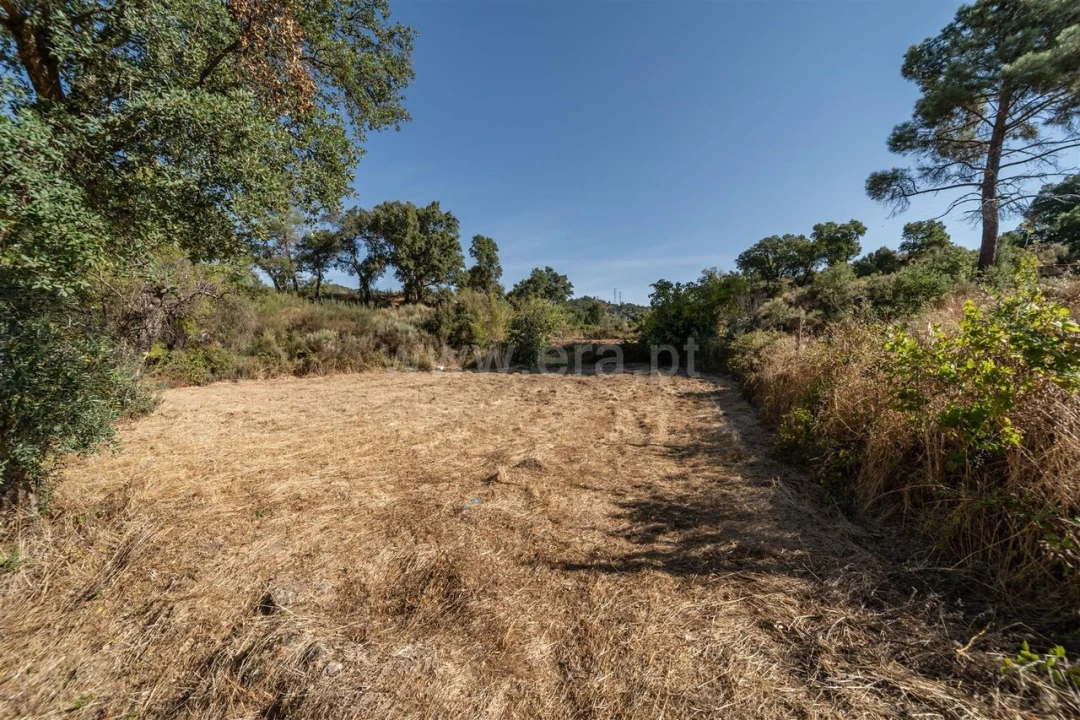 Terreno para Venda em Pero Viseu Foto 2