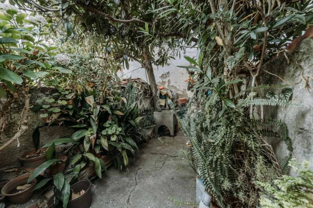 Prédio para Venda em Tortosendo Foto 13