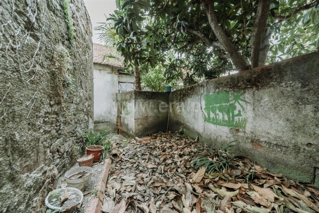 Prédio para Venda em Tortosendo Foto 11