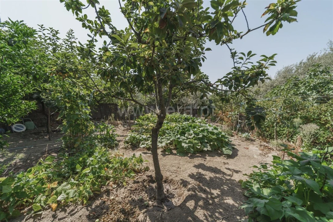 Moradia T3 para Venda em Caria Foto 16