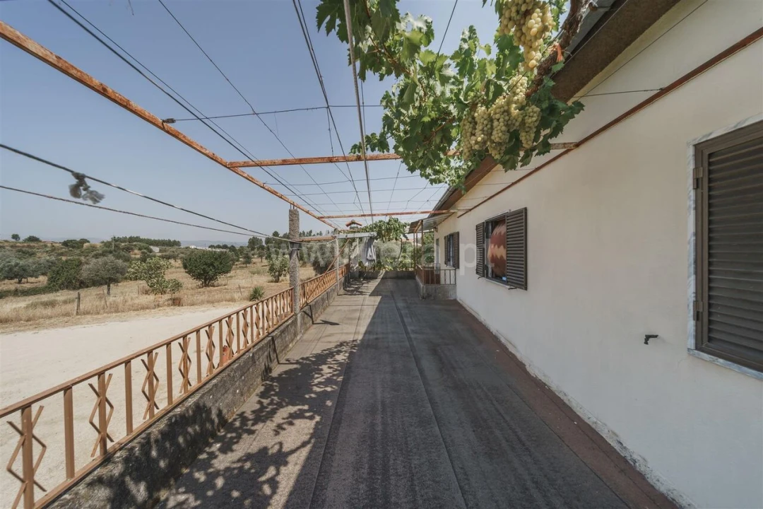 Moradia T3 para Venda em Caria Foto 9