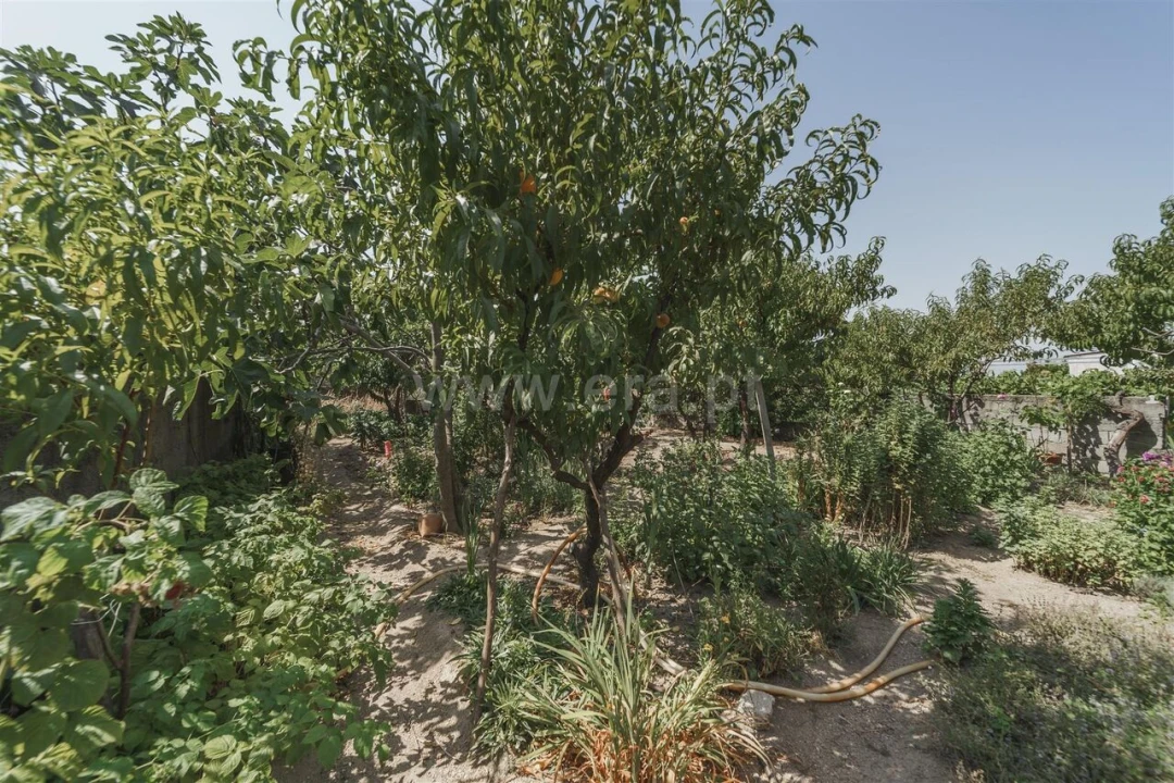 Moradia T3 para Venda em Caria Foto 14