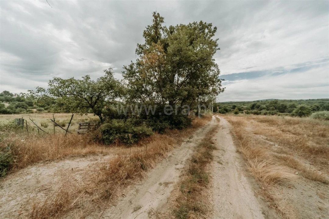 Quinta T3 para Venda em Peraboa Foto 10