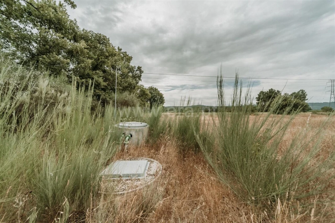 Quinta T3 para Venda em Peraboa Foto 14