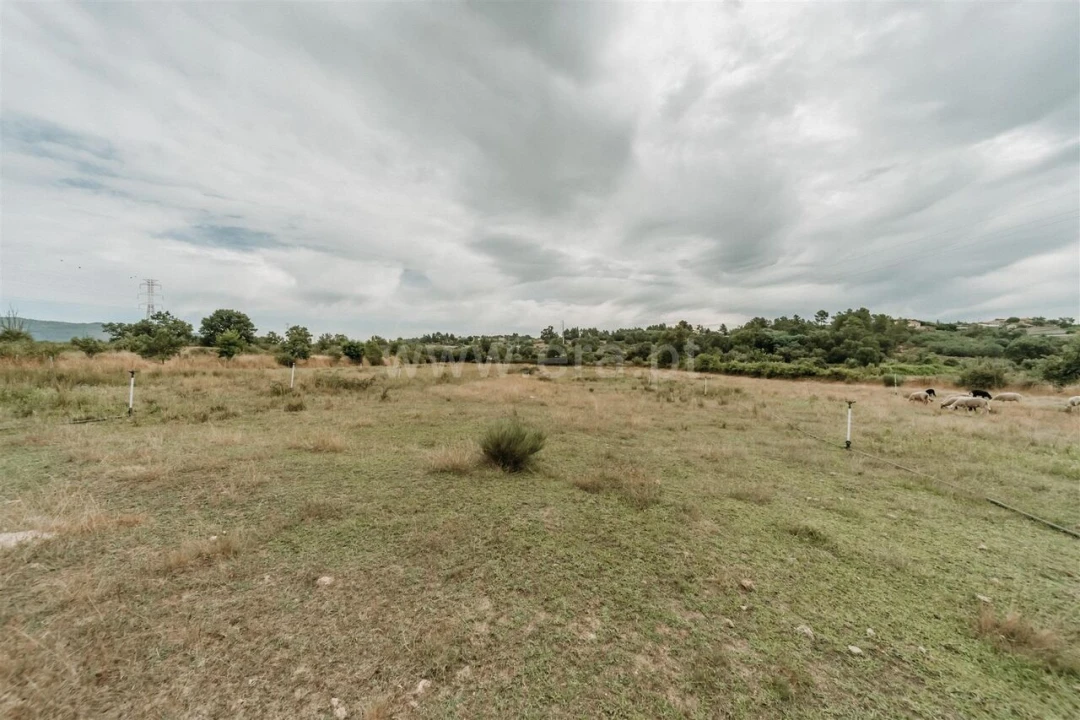 Quinta T3 para Venda em Peraboa Foto 8