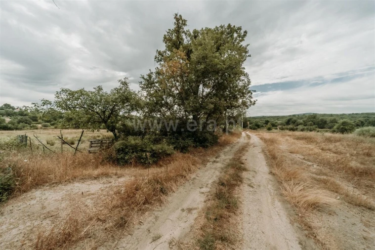 Quinta T3 para Venda em Peraboa Foto 10