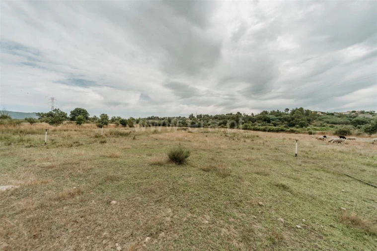 Quinta T3 para Venda em Peraboa Foto 8