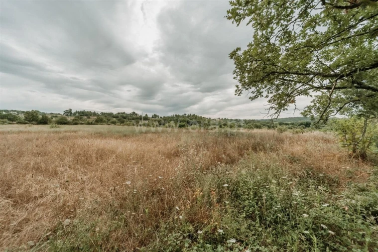 Quinta T3 para Venda em Peraboa Foto 12