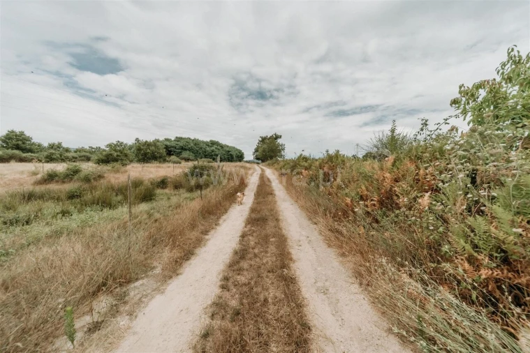 Quinta T3 para Venda em Peraboa Foto 5