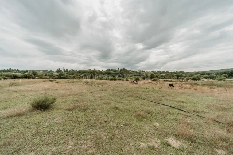 Quinta T3 para Venda em Peraboa Foto 7