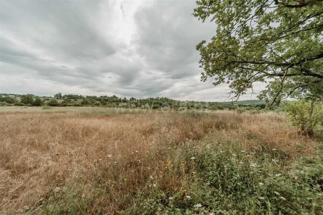Quinta T3 para Venda em Peraboa Foto 12