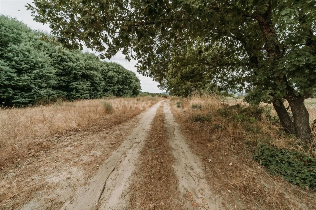 Quinta T3 para Venda em Peraboa Foto 9