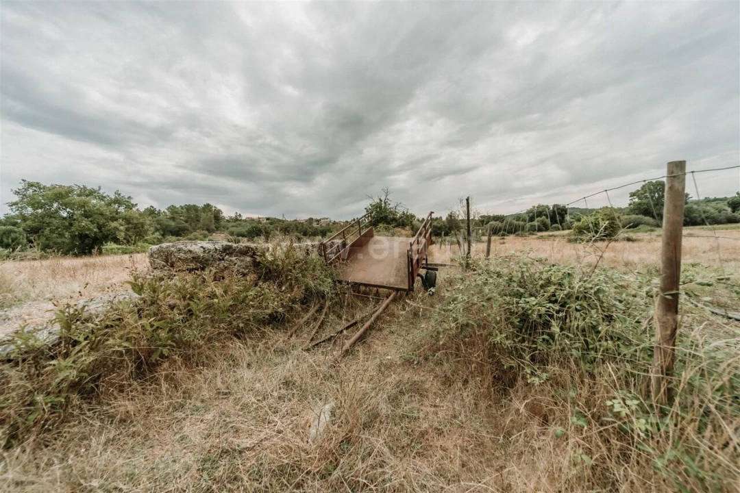 Quinta T3 para Venda em Peraboa Foto 19