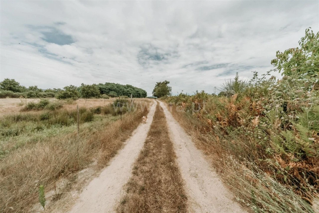 Quinta T3 para Venda em Peraboa Foto 5