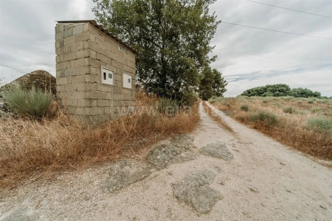 Quinta T3 para Venda em Peraboa Foto 13