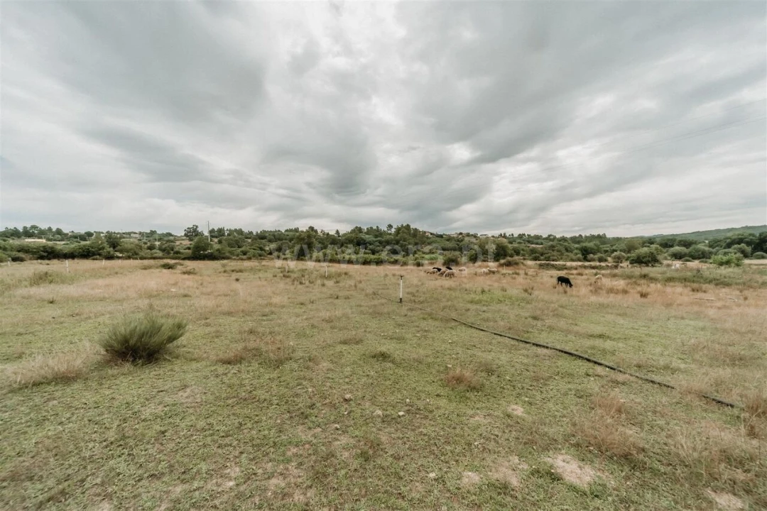 Quinta T3 para Venda em Peraboa Foto 7