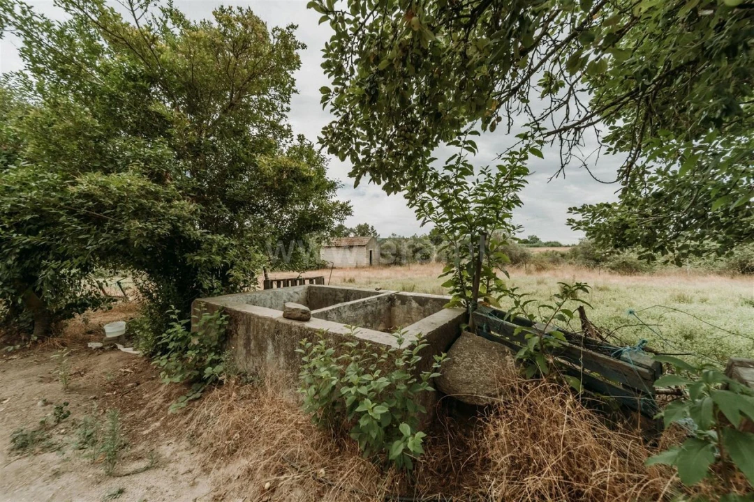 Quinta T3 para Venda em Peraboa Foto 4