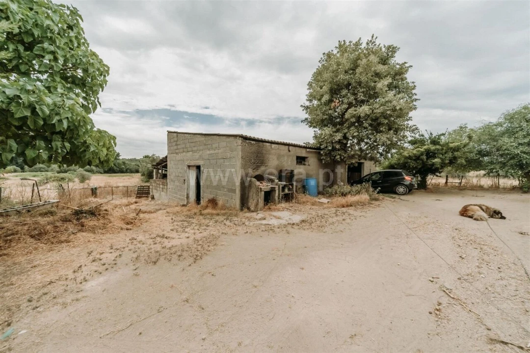 Quinta T3 para Venda em Peraboa Foto 3