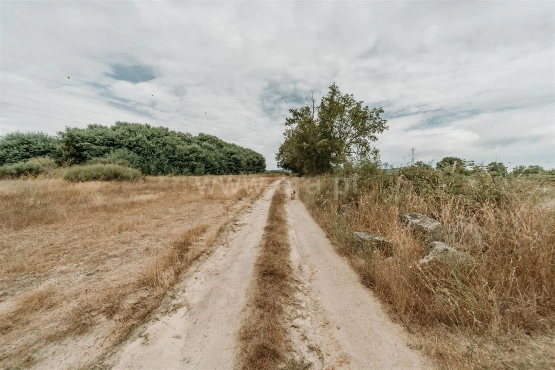 Quinta T3 para Venda em Peraboa Foto 6