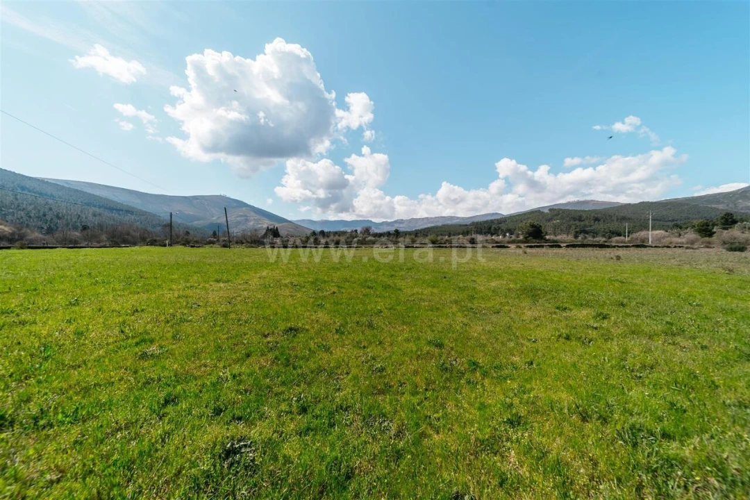 Quinta T0 para Venda em Verdelhos Foto 10