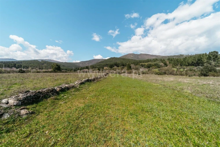 Quinta T0 para Venda em Verdelhos Foto 13