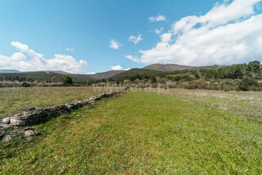 Quinta T0 para Venda em Verdelhos Foto 13