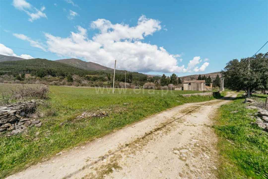 Quinta T0 para Venda em Verdelhos Foto 16