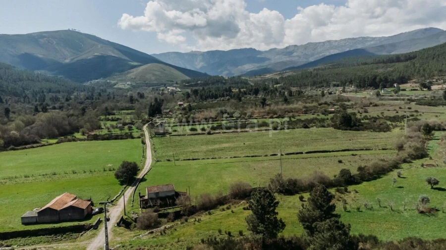 Quinta T0 para Venda em Verdelhos