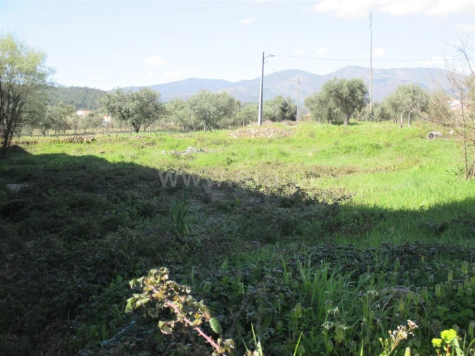 Armazém para Venda em Paul Foto 12