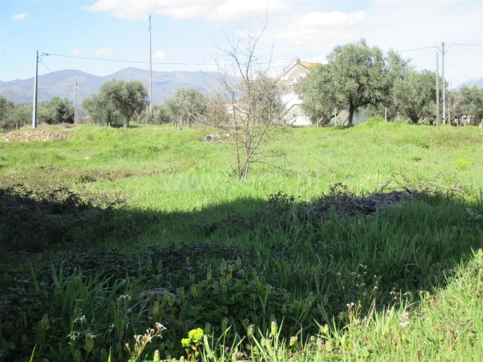 Armazém para Venda em Paul Foto 11