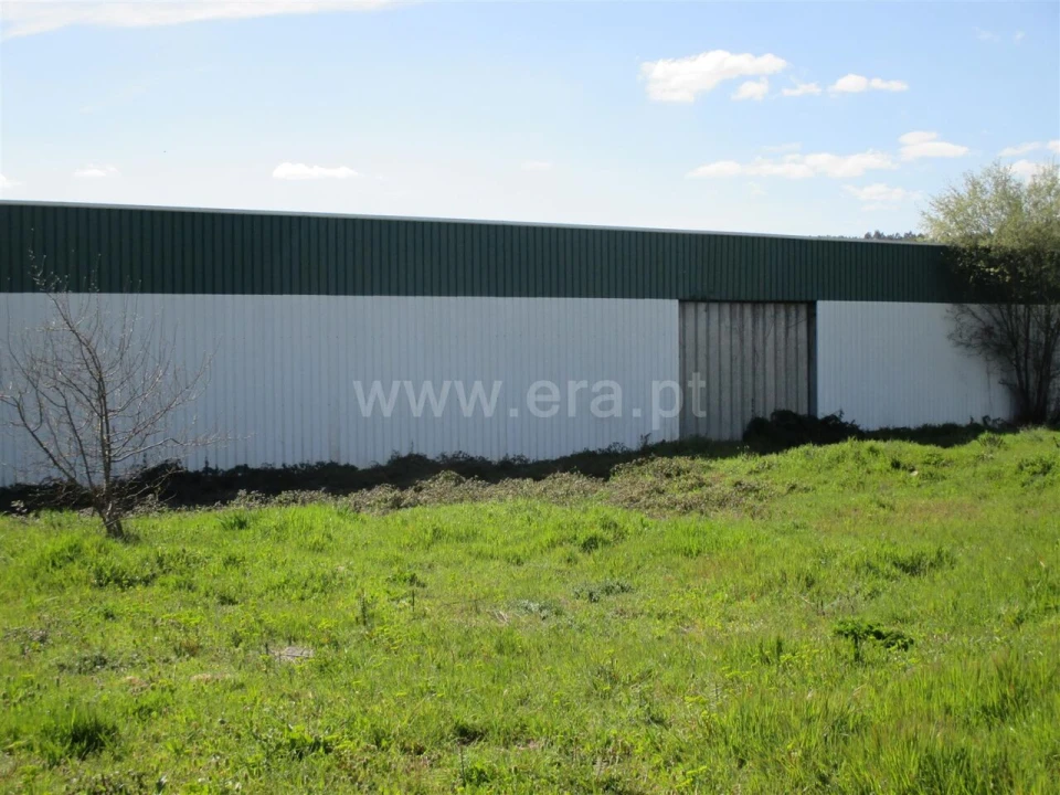 Armazém para Venda em Paul Foto 13