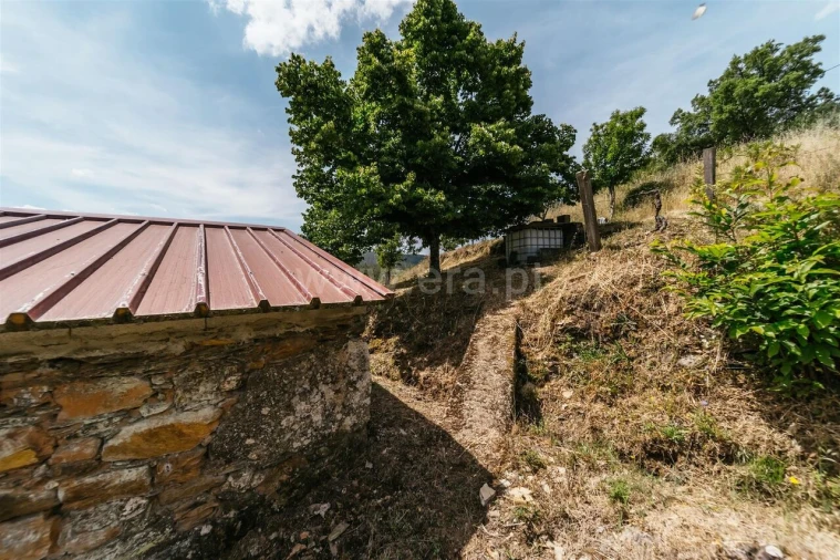 Quinta T0 para Venda em Cortes do Meio Foto 4