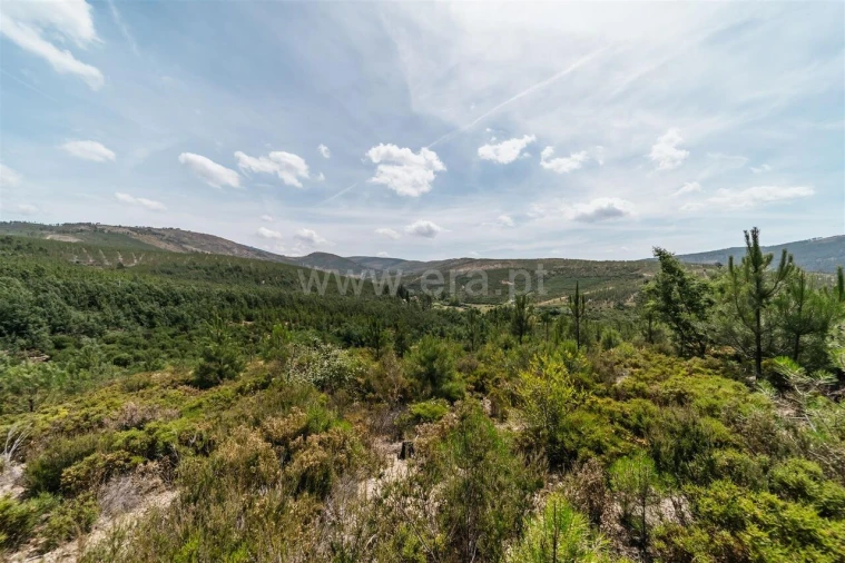 Quinta T0 para Venda em Cortes do Meio Foto 9