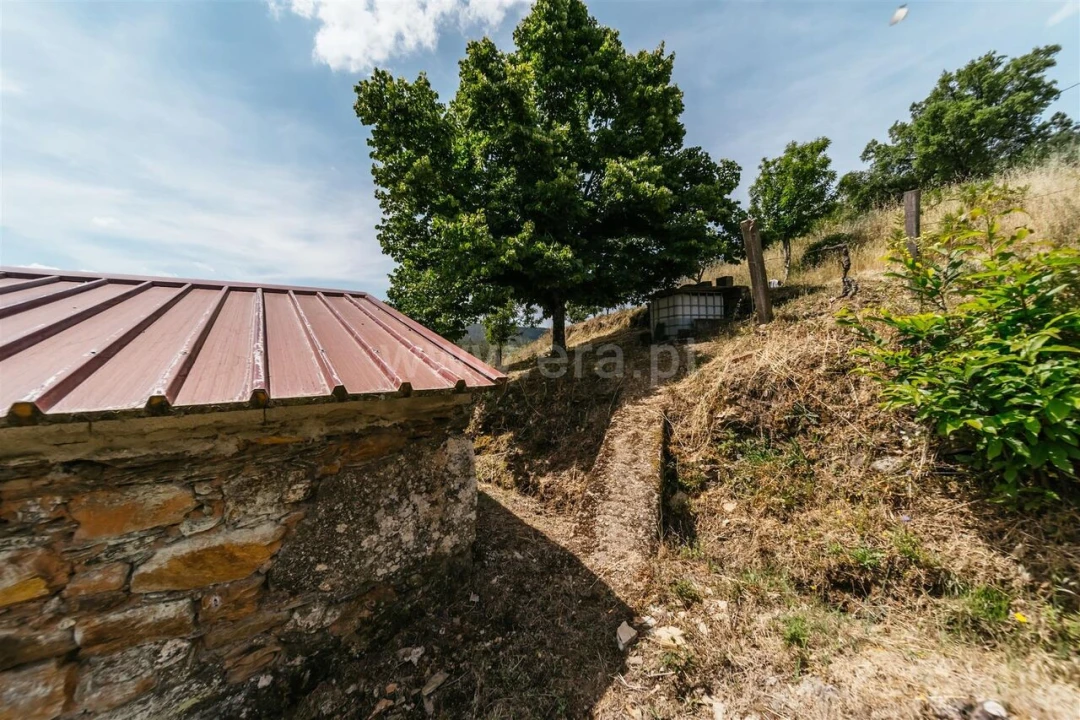 Quinta T0 para Venda em Cortes do Meio Foto 4