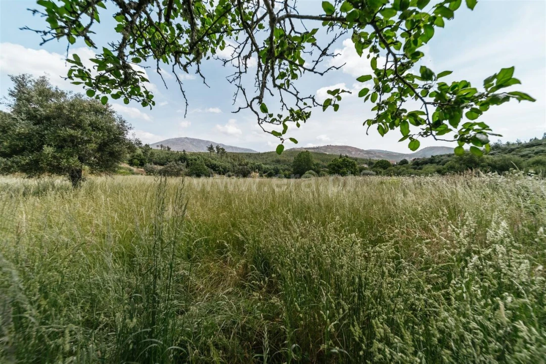 Quinta T0 para Venda em Cortes do Meio Foto 7
