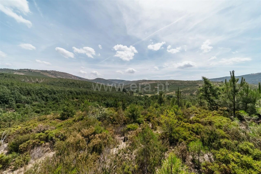 Quinta T0 para Venda em Cortes do Meio Foto 9