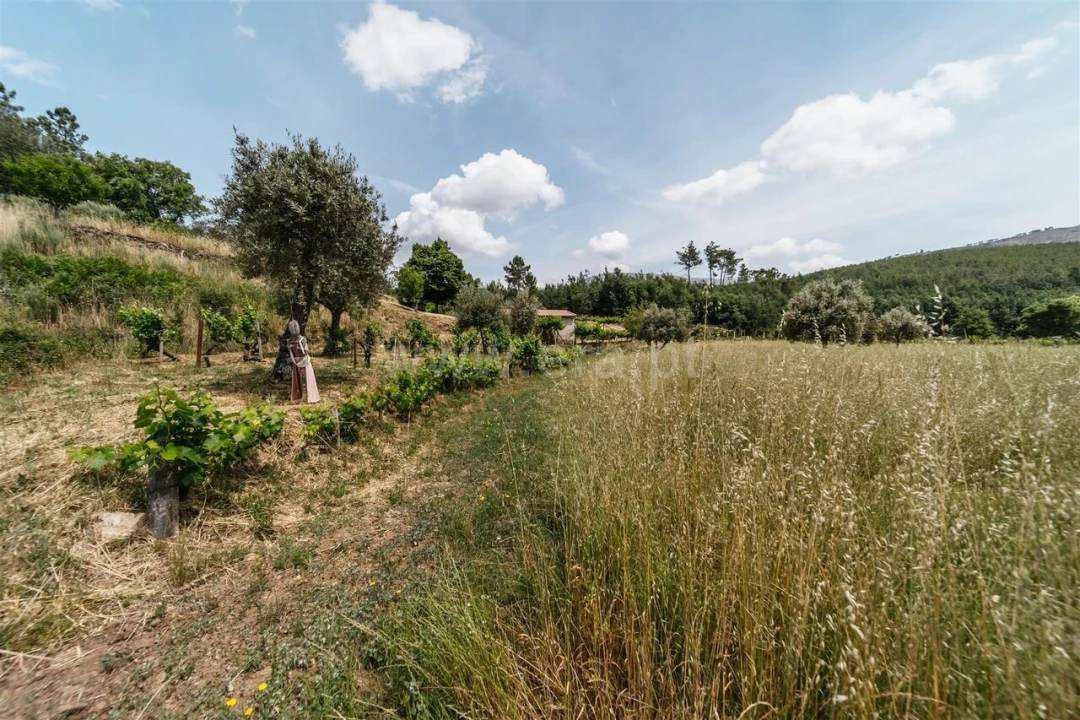 Quinta T0 para Venda em Cortes do Meio Foto 6