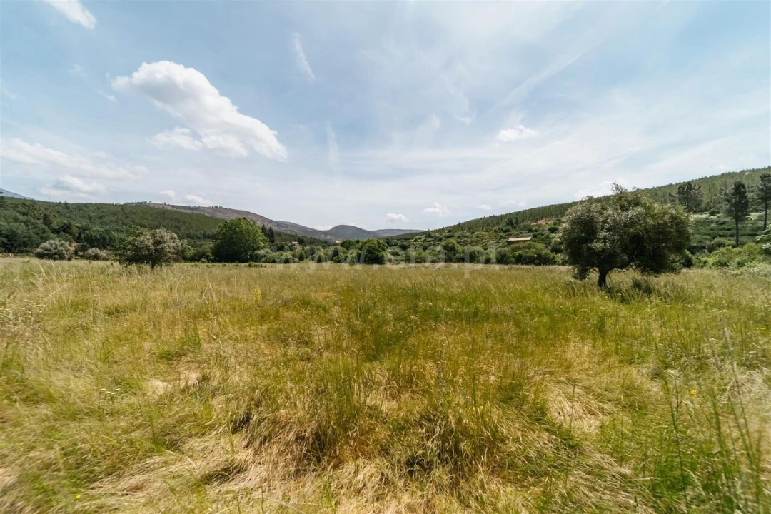 Quinta T0 para Venda em Cortes do Meio Foto 8