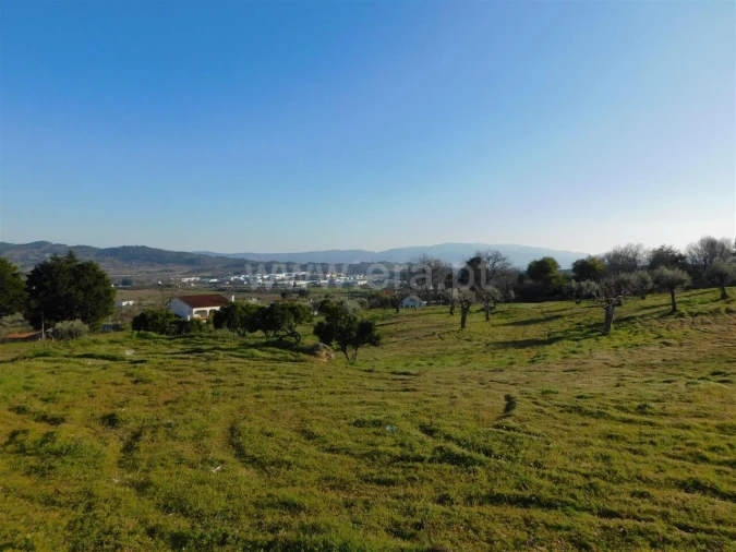 Terreno para Venda em Tortosendo Foto 7