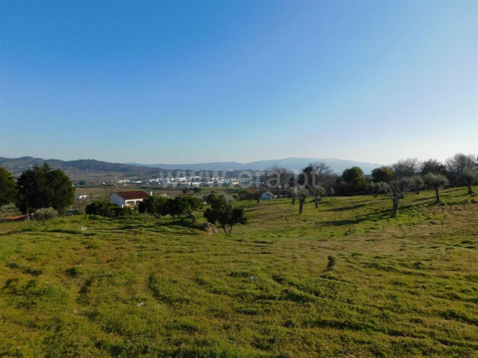 Terreno para Venda em Tortosendo Foto 7