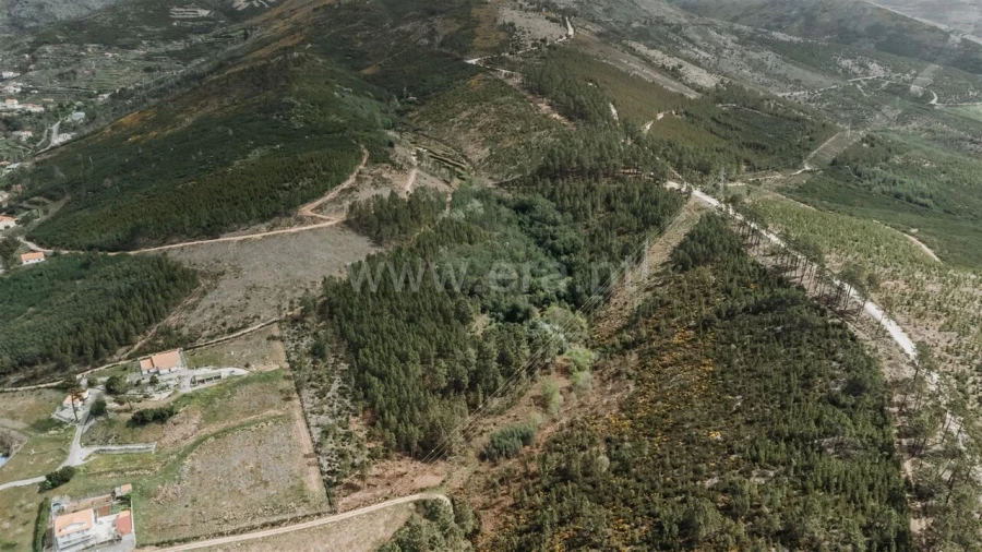 Terreno para Venda em Cortes do Meio Foto 2